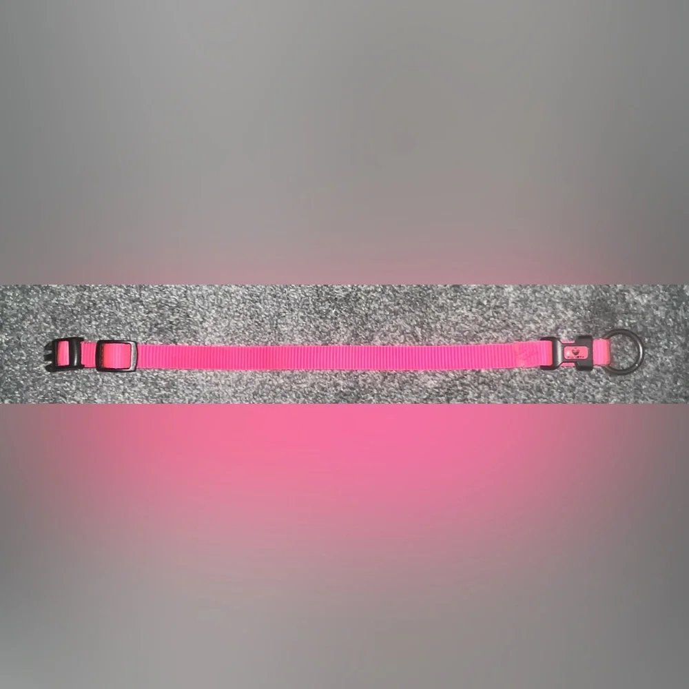 🎉HOST PICK 🎉 Hot Pink Dog Collar - Picture 3 of 7